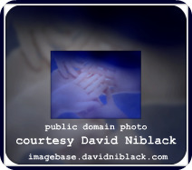 David Niblack, "Hands"
