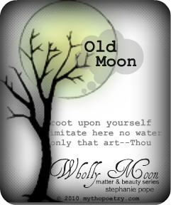 Wholly Moon