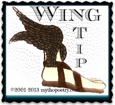 wing tip